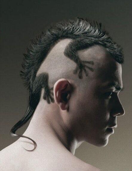 RuvoloVerna's tweet photo. Awesome haircuts (8 pictures) must see. http://t.co/ZgpSxhEHPm http://t.co/mvcXvwmd59