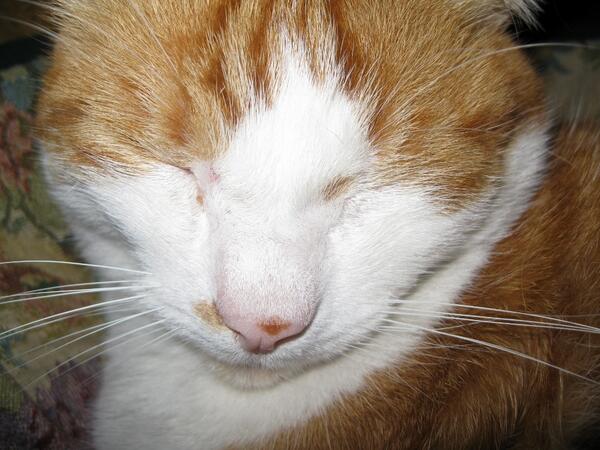 BraveJulot's tweet photo. Et là je viens d'essayer un selfie! http://t.co/cRVno32VfP