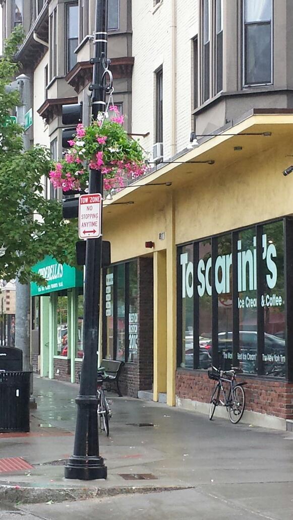 CentralSQBID's tweet photo. Thanks @CambridgeDPW for flower baskets sprouting up every where in #C2CD today. http://t.co/DjK09drcQd