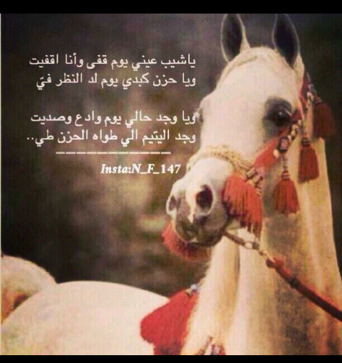 05788532's tweet photo. ياشيب عيني يووم اقفى وهو حالف بربه مايخليني http://t.co/4185m7cOTL