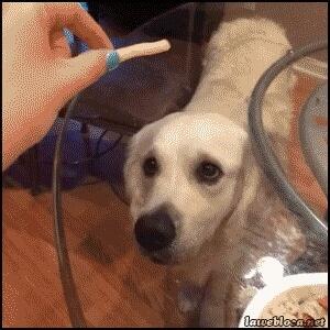 k_shepps's tweet photo. http://t.co/cdMlXYjBs7 via @9GAG lolololl 😂😂 @Ryanh30 http://t.co/fkZzUSt6wq