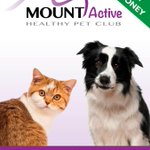 Photo by Mount Vets (@MountVets)