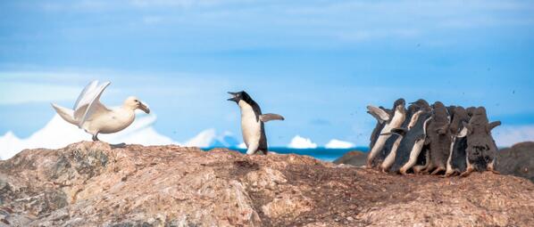 devilbabe7's tweet image. Love it!"@richardbranson: Have you taken a better photo than this one? Would love to see it! virg.in/phl http://t.co/26jpWLrwEG"