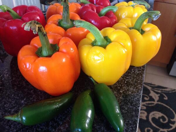 globalraw's tweet image. #rebootwithjoe excited to give my body a break. #loveyourbody #juicing4health