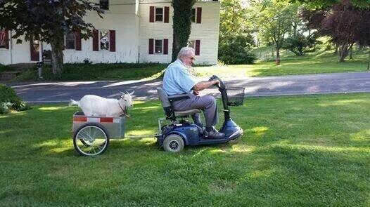 This would only happen in Lancaster County!