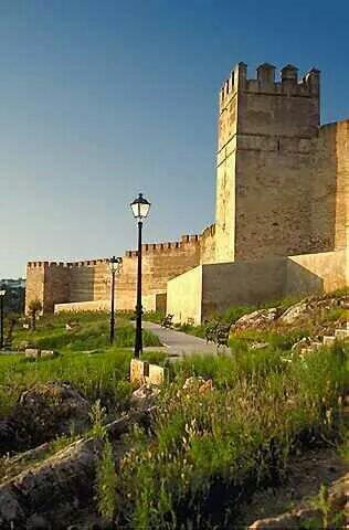 Ciudad De Badajoz tweet media