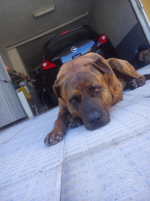 BarretoPatri's tweet photo. Como echaba de menos esta carita. http://t.co/BPfHAmoxoL
