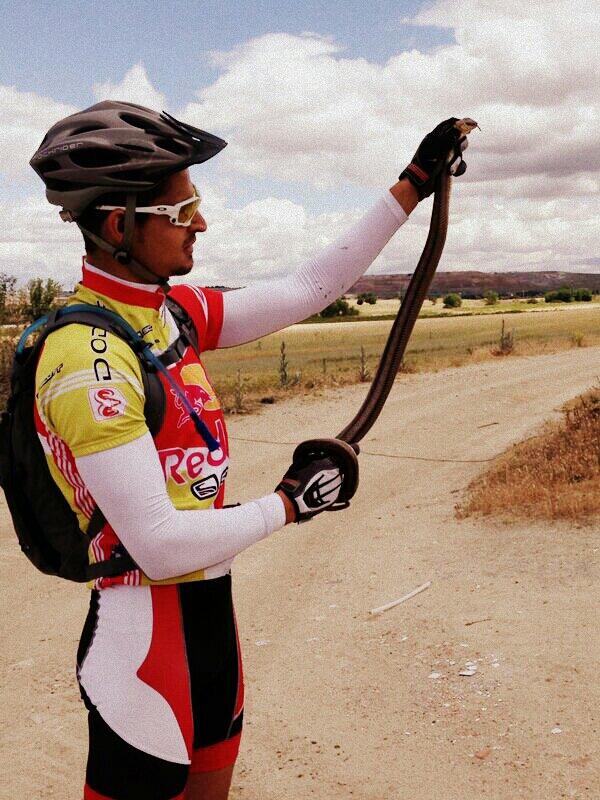 DeividHG's tweet photo. Rutilla de 57km en muy buena compañía y como no, con culebra en el camino buscando los pocos rayos de sol de hoy. http://t.co/XGIPBbIW3I