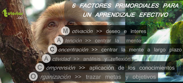 Tutorias.CO 🇨🇴 encamina tus metas tweet media