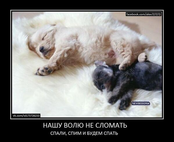 TimurE14o's tweet photo. http://t.co/CaZgCbVoKa