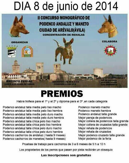 Luismi (@kanorusmiguel) on Twitter photo 