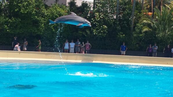 Andrew McGowan tweet media