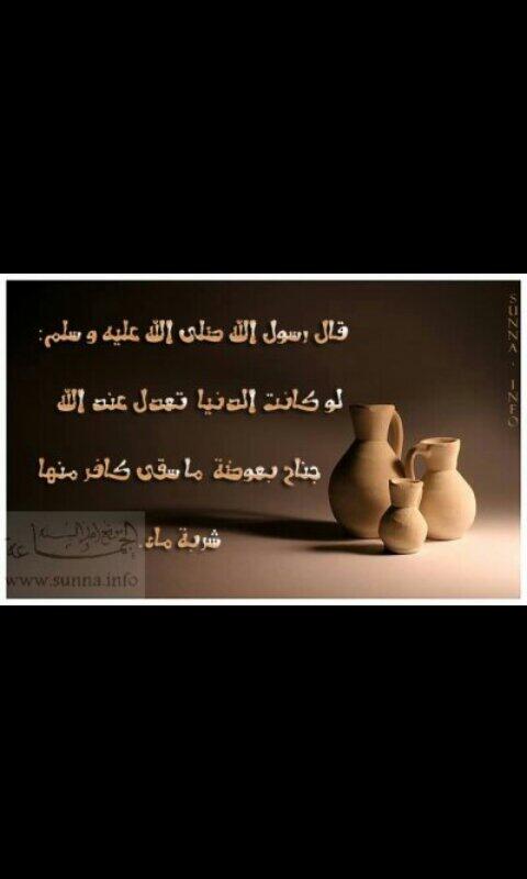 ariaam2016 tweet picture