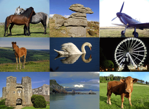 Tim Barnes Photobarnes Twitter