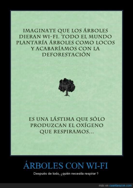 _Paisajes_'s tweet photo. Una lástima que los árboles no den wi-fi http://t.co/Dz0UAqxTYx