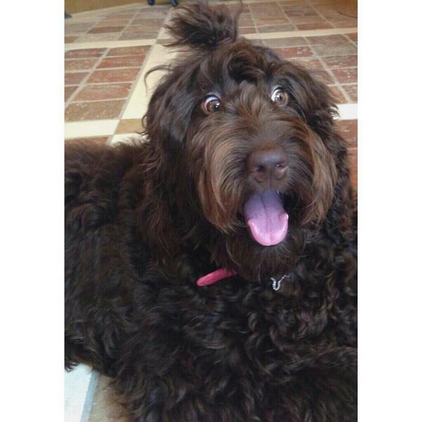 _GrungeGrande's tweet image. #problemvideothisweek