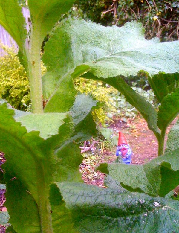 #PlantsVsZombies I'm cute, that's a freak. D: #TheWalkingGnome