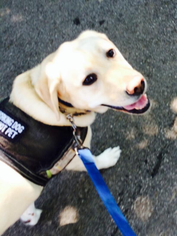 Eric J Redmon tweet media