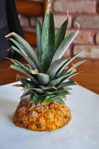 LavenderOrganic's tweet photo. Put your pineapple top in water or soil and it will grow into a tree. #pineappletree #pineappletop http://t.co/jySiqYz0S3