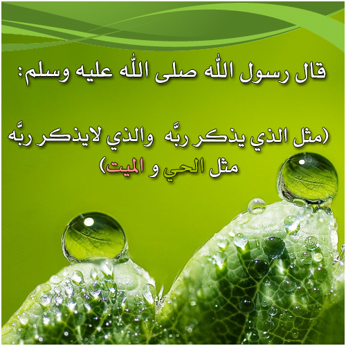 بنت الاسلام Hhhlll1231 Twitter