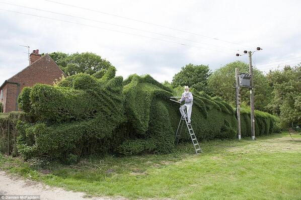 pourmecoffee's tweet image. John Brooker spent ten years sculpting his hedge into a 100-foot dragon, and it's glorious j.mp/1ovgs9u