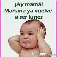 Capy56's tweet image. Mas imagenes WTF!!!..........