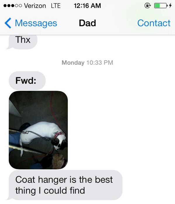 Danielle Epting tweet media