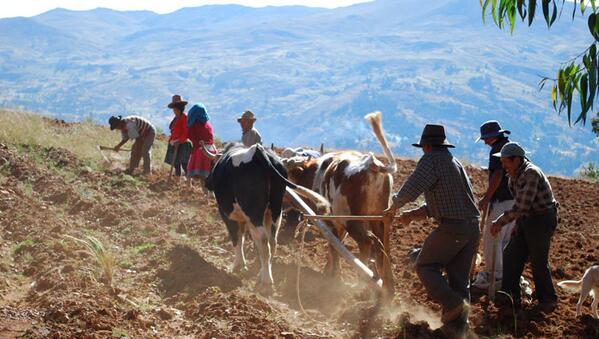 peruvianandes's tweet photo. http://t.co/dx1FOYN51s