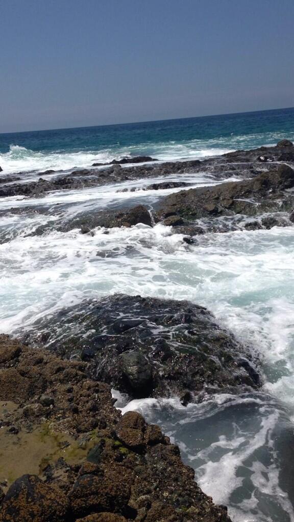 ElainaSupp's tweet photo. http://t.co/nyQyN3f7PJ