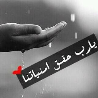 66jmnj66's tweet photo. اللهم اسالك حاجته في قلبي فاقضيها

#الزواج #زواج #شريكه_حياتي
http://t.co/q8BJwmon35