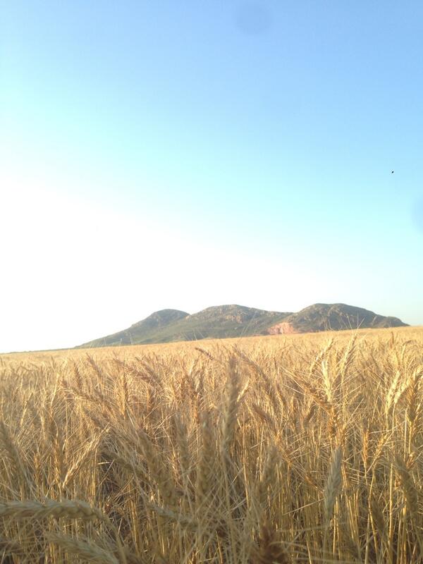 StackDal tweet picture