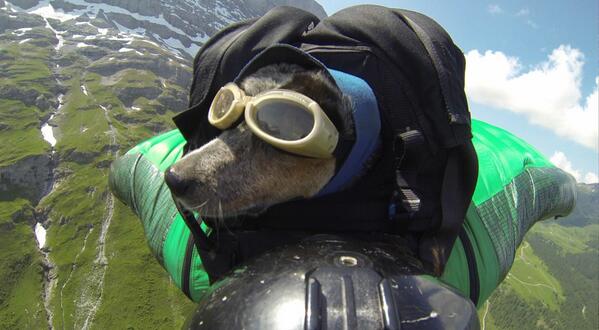 sashadigiulian's tweet photo. Never leave your best friend behind http://t.co/7eZMjYWS1b 
@DeanSPotter @rockandice http://t.co/L4mpFNinBY