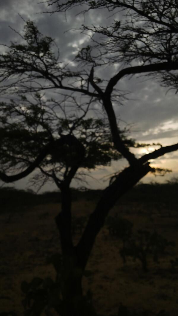 Hernandompp tweet picture