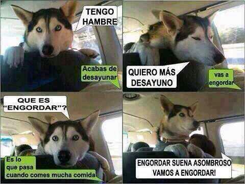 DaniPhanton1's tweet photo. Es hermoso :'D http://t.co/Cq4J1FbQsG