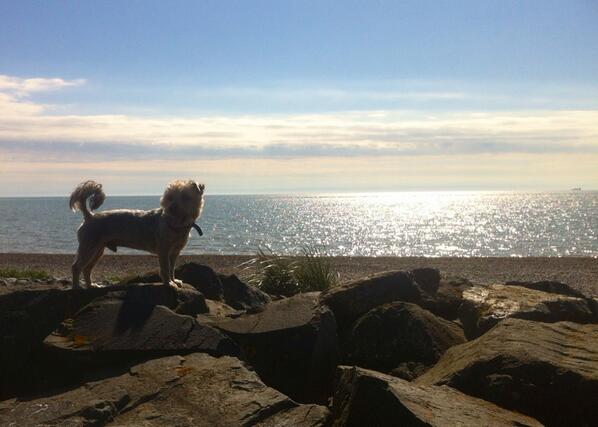 pathuss14's tweet image. 