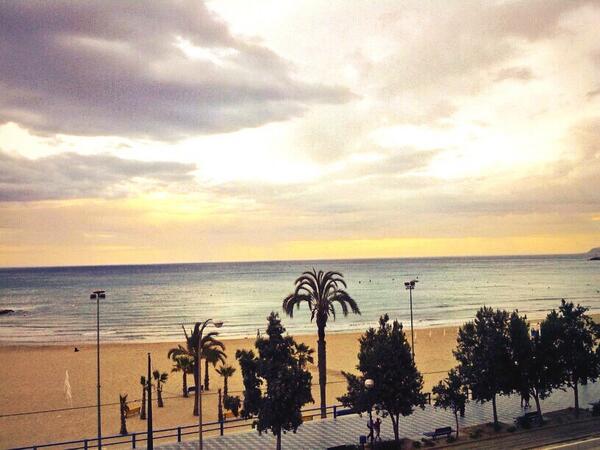 maria__patricio tweet picture