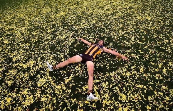 What's #footy without photography? m.smh.com.au/photogallery/n… <a href="/southey70/">Jason South</a> <a href="/HawthornFC/">Hawthorn FC</a> #afl #photography #fairgofairfax