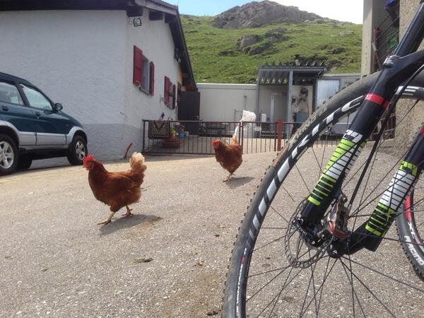 GREENHOPEMTB's tweet image. Top Biketour with @curdinperl