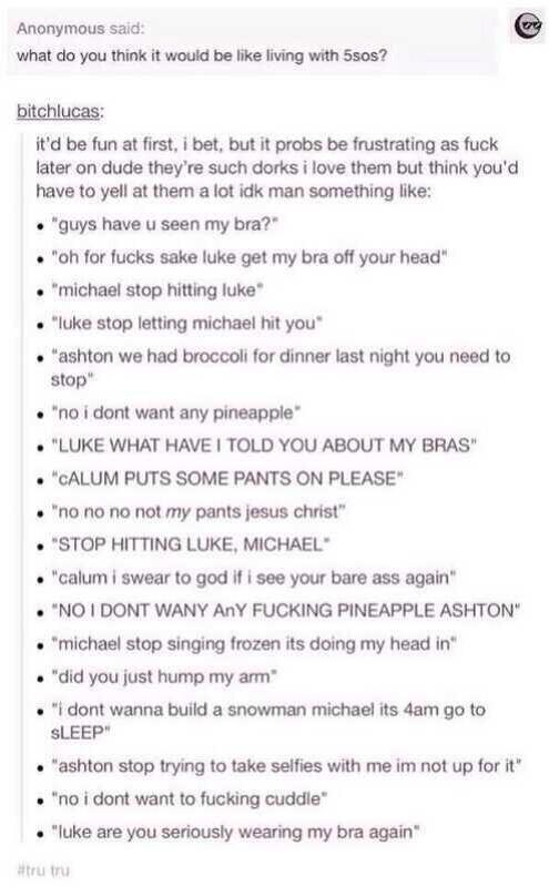 fcksivan's tweet image. This is like one of those fanfics where Niall eats everything and Louis steals all the carrots