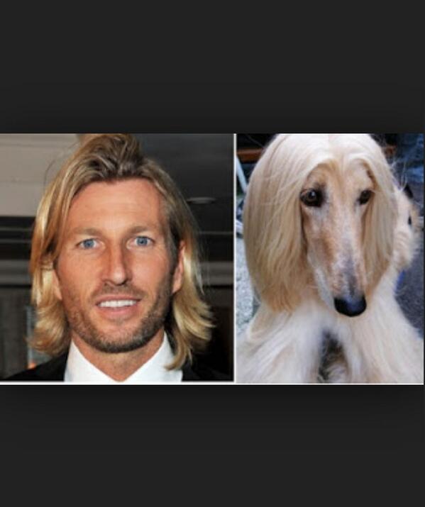 LiamPayne's tweet photo. @RobbieSavage8 / doggie savage http://t.co/iH7dRVbfbO