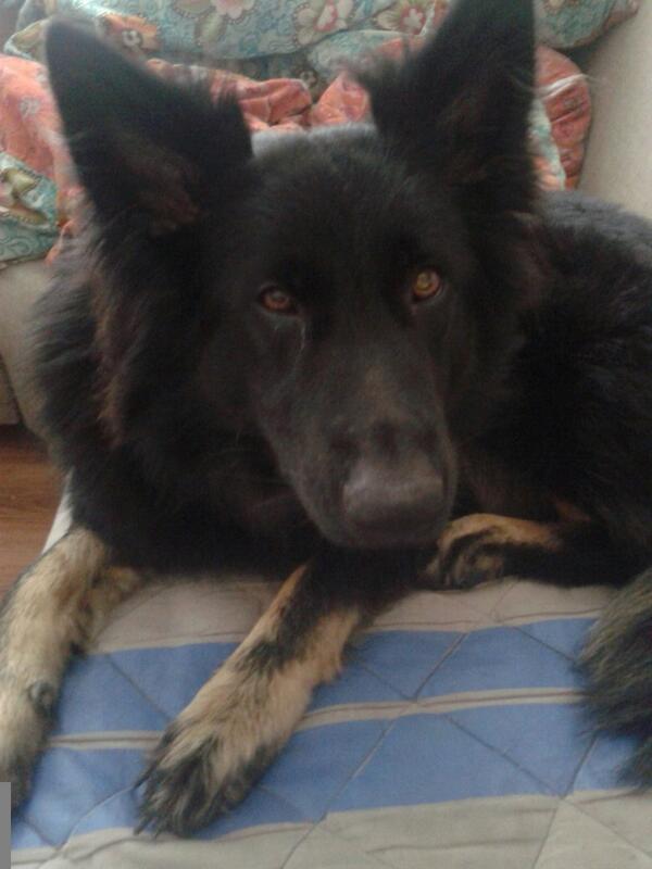 sofie235's tweet image. 