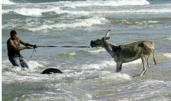 NoticiasSB1's tweet image. El Magnicidio  #ConcluMAGNICIDIO #Tribu