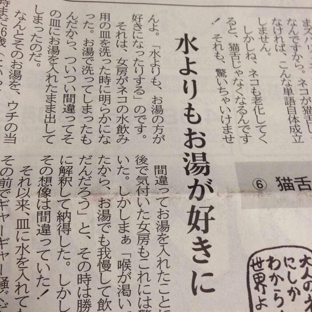 敬 体 常 体