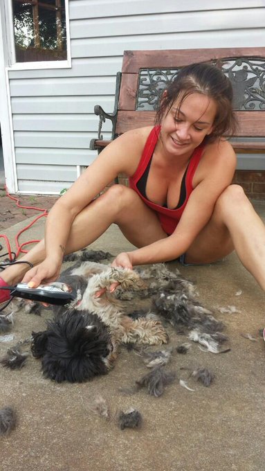 My lil sheepdog http://t.co/KaxML2HwUD<a href="/tag/livelifelikelane"class="tags"><span>#livelifelikelane</span></a>