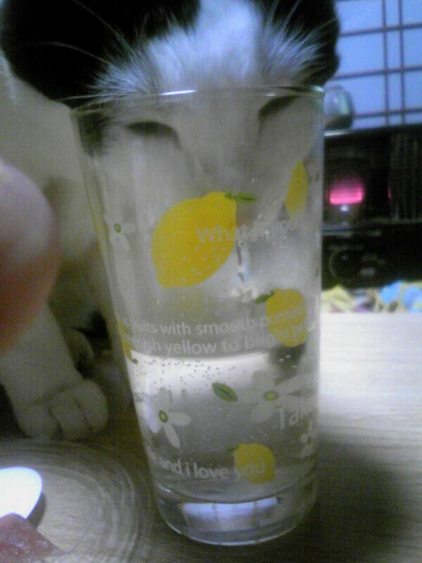 kuaoba's tweet photo. http://t.co/022hEvim7o