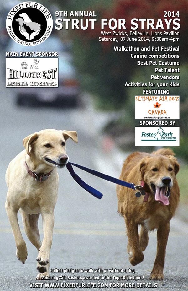 FixedFurLife's tweet photo. Only 9 days to go for the Strut for Strays at West Zwicks 07 June under the Lions Pavilion. Help us by promoting !! http://t.co/cwoP61SeGE