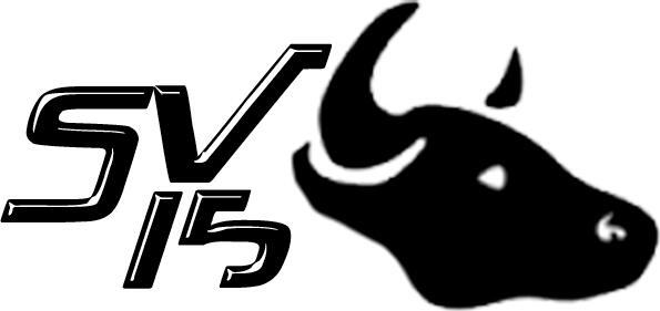 SantVicentXilxes2015 (@svxilxes2015) on Twitter photo 