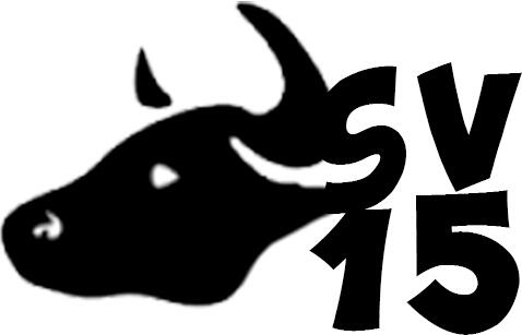 SantVicentXilxes2015 (@svxilxes2015) on Twitter photo 