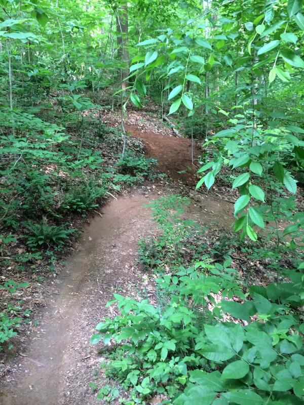 Ctbikes1's tweet photo. Entrance to new section. #moartrail http://t.co/Wy5UGiBzMq