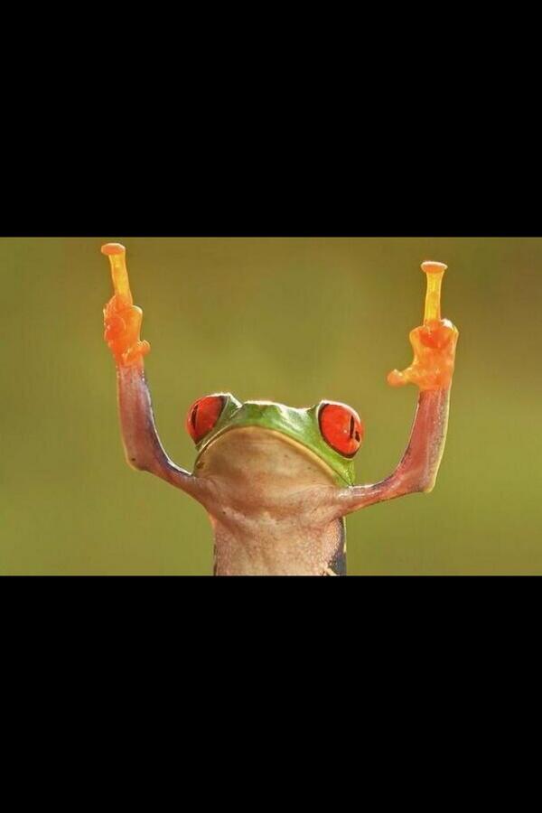 outonthemat's tweet photo. Screw all those wrestling haters.... http://t.co/Fs1z2v1BzP